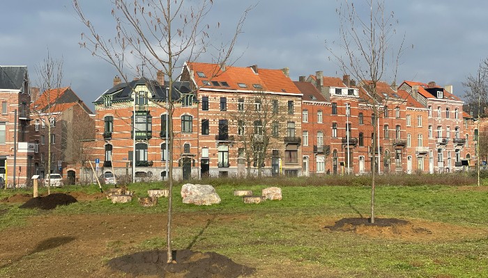 Stad plant 55 klimaatbomen op Philipssite